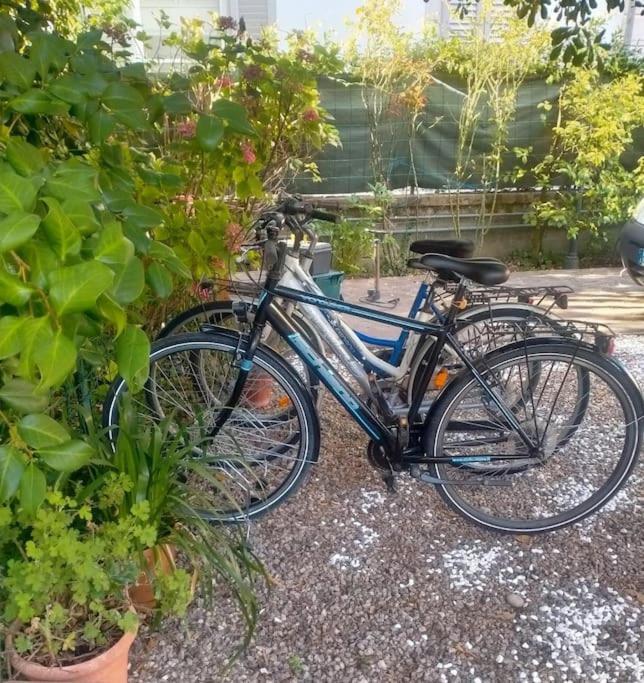 Just Outside The Wall: Free A/C, Bikes And Wifi Λούκα Εξωτερικό φωτογραφία